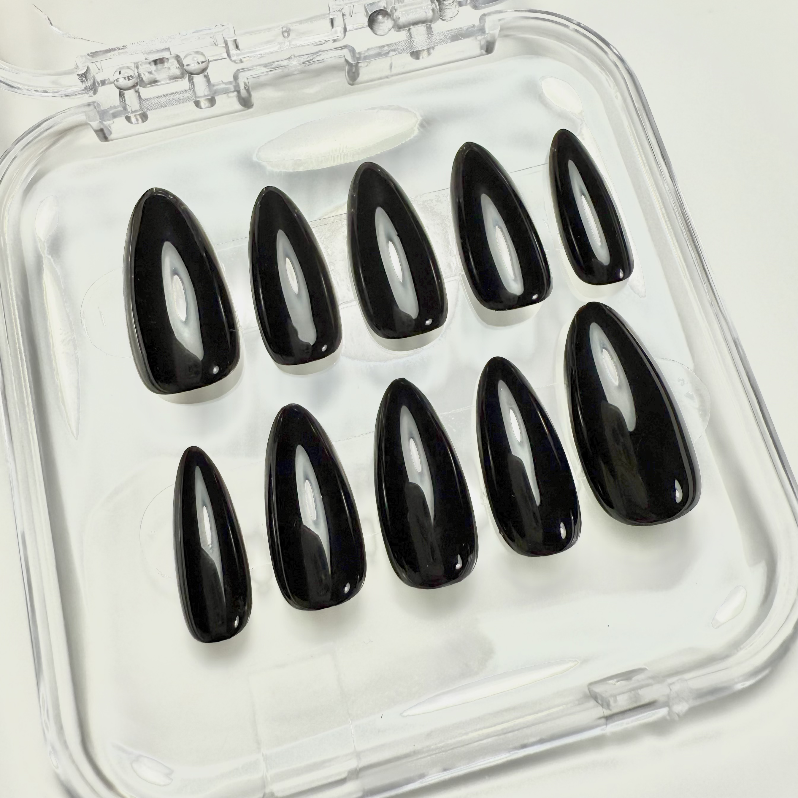 Modèle Couleur Unie (+70 couleurs)