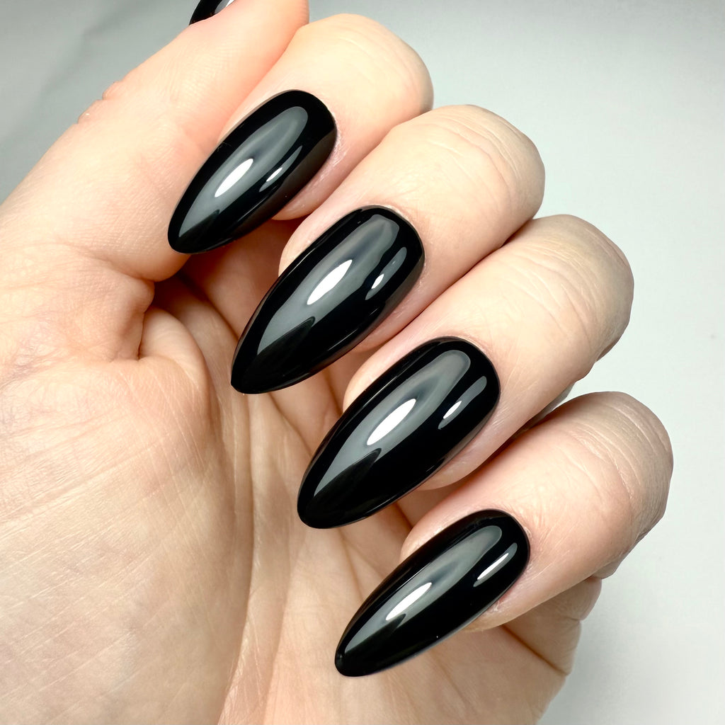 Modèle Couleur Unie (+70 couleurs)