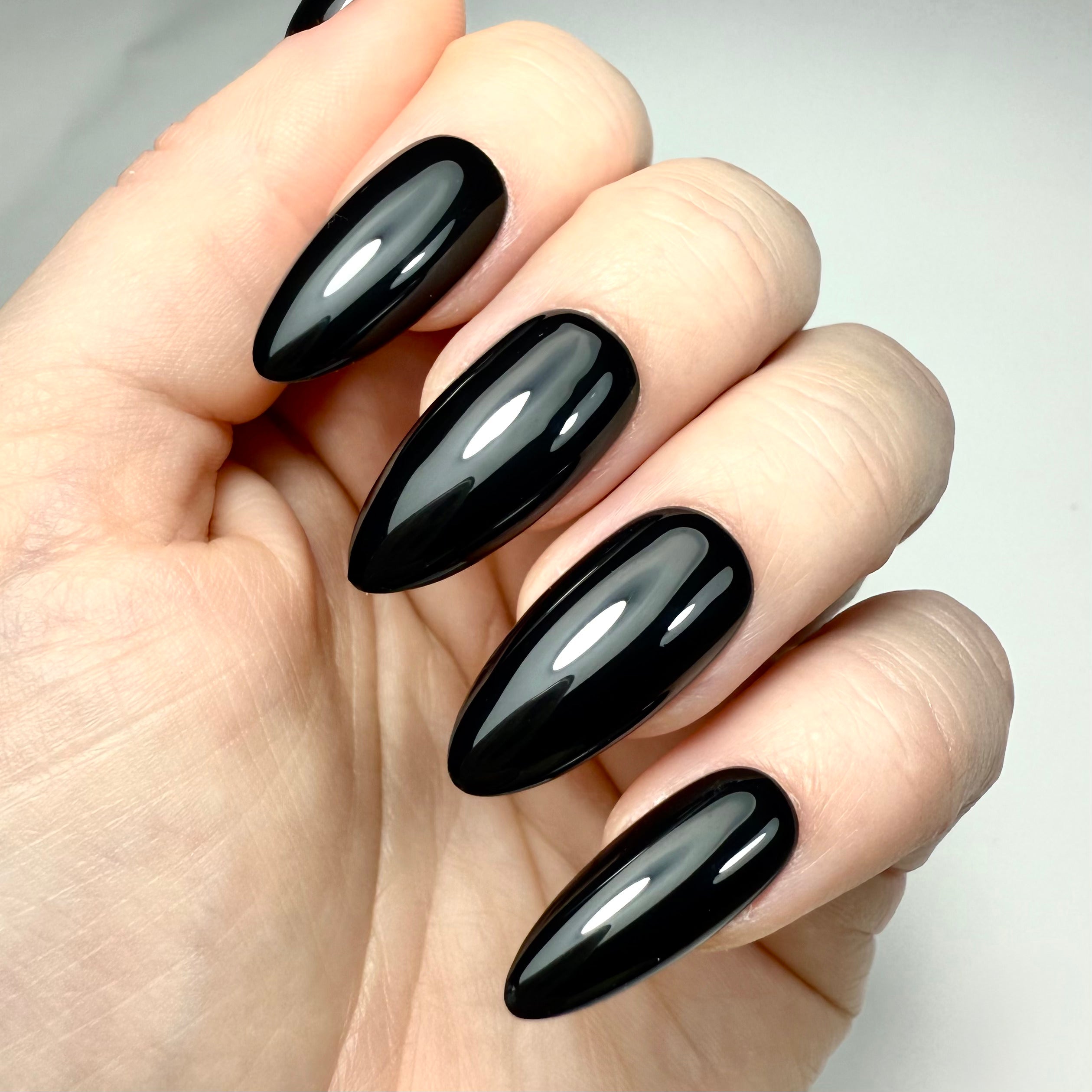 Modèle Couleur Unie (+70 couleurs)