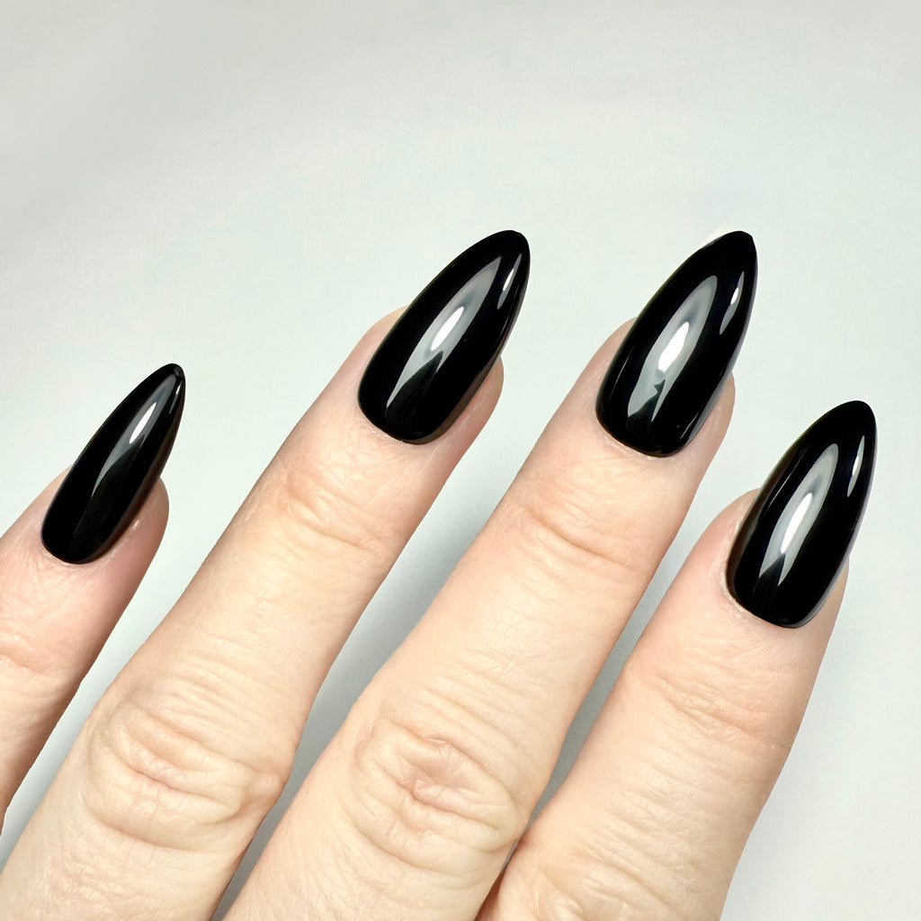 Modèle Couleur Unie (+70 couleurs)